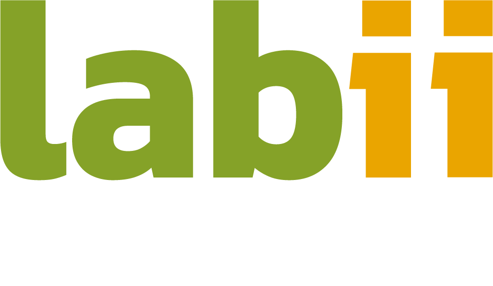 Labii | Laboratorio de Investigación e Innovación